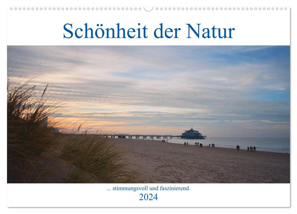 Schönheit der Natur. (CALVENDO Wandkalender 2024)