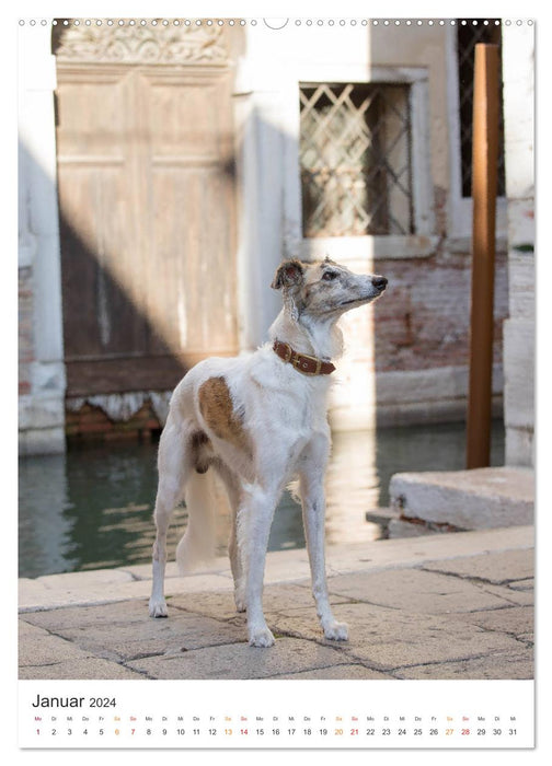 Silken Windsprites - Two greyhounds conquer the lagoon city of Venice (CALVENDO wall calendar 2024) 
