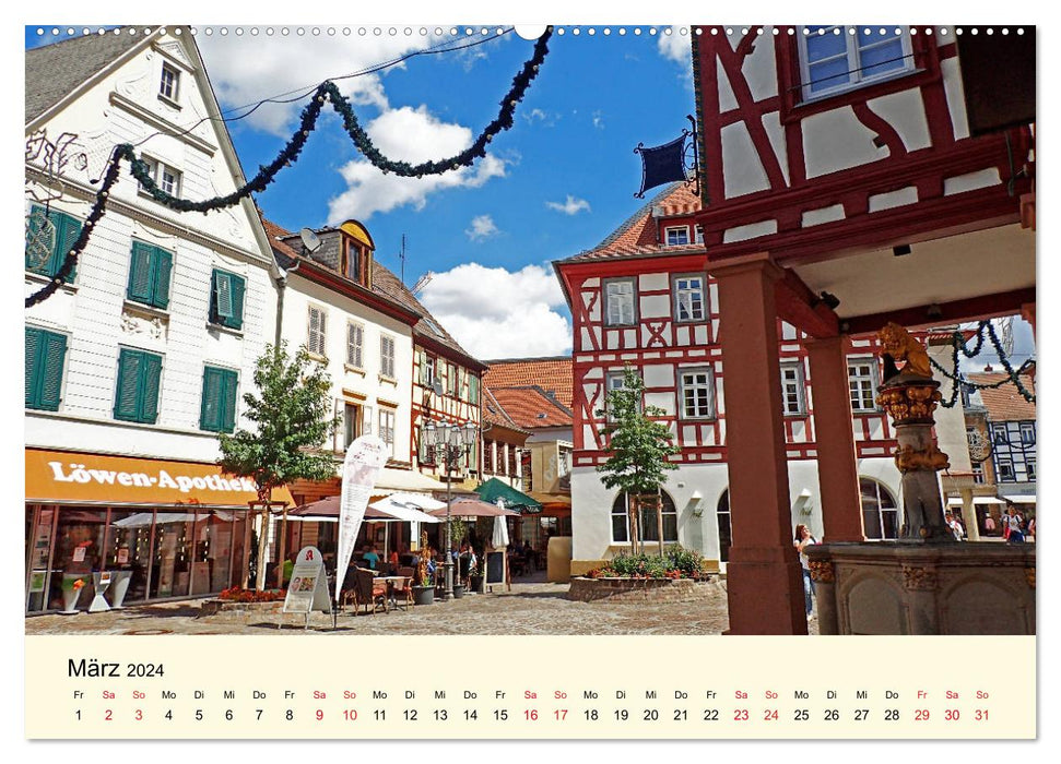 Schönes Alzey - Fachwerk, Wein und Rossmarktplatz (CALVENDO Wandkalender 2024)