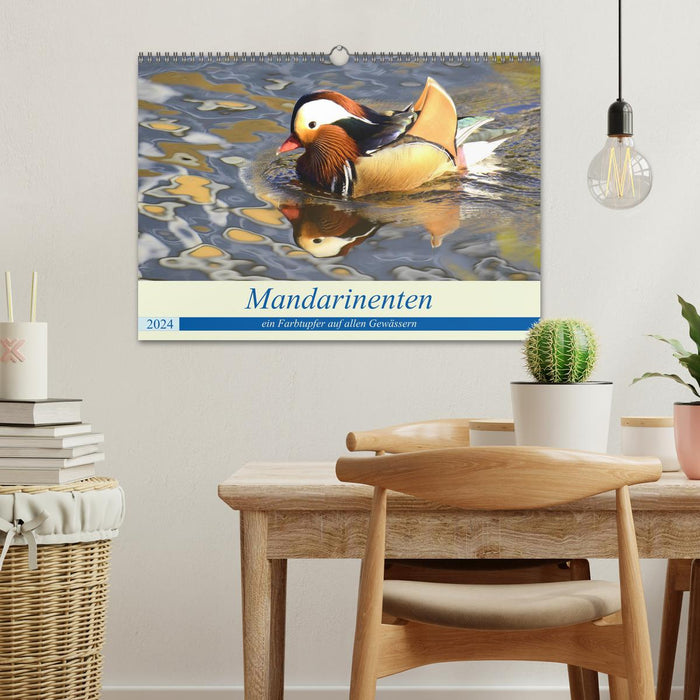 Mandarin ducks, a splash of color on all waters. (CALVENDO wall calendar 2024) 