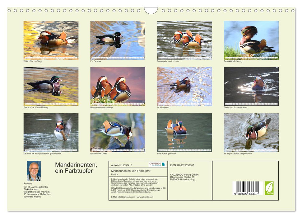 Mandarinenten, ein Farbtupfer auf allen Gewässern. (CALVENDO Wandkalender 2024)