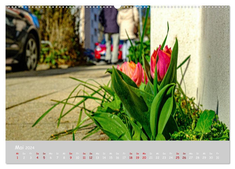 Rüttenscheid (CALVENDO Premium Wall Calendar 2024) 