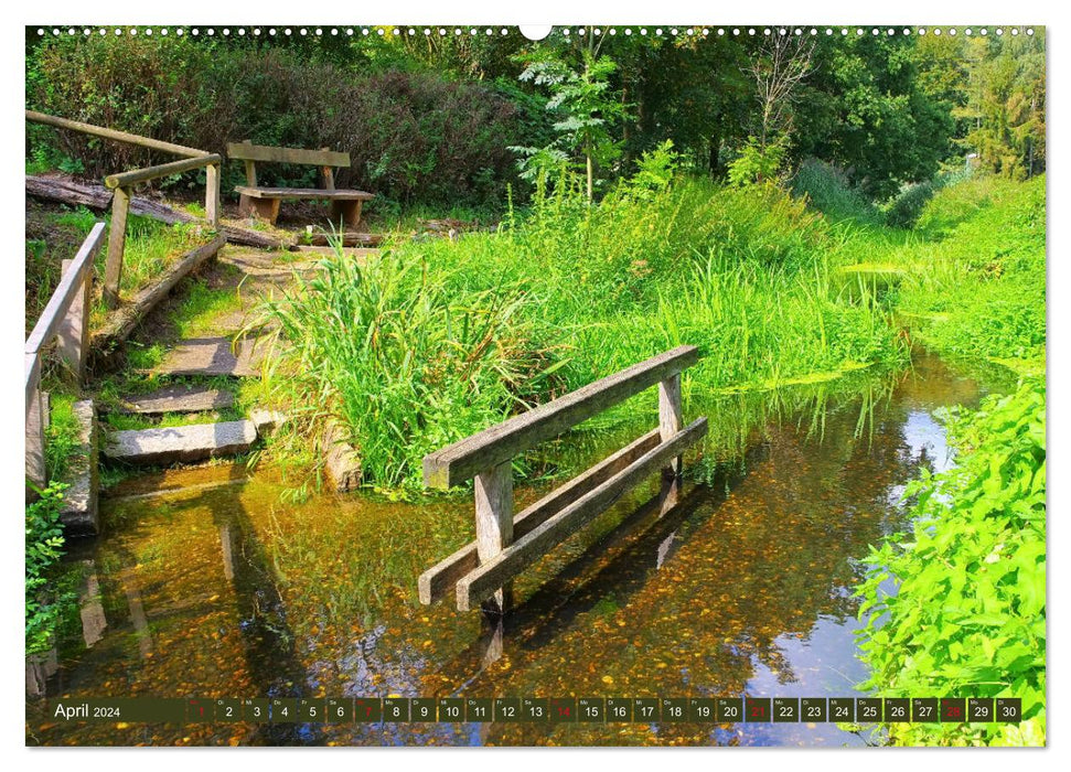 Bad Bodenteich - health resort in the Lüneburg Heath (CALVENDO wall calendar 2024) 