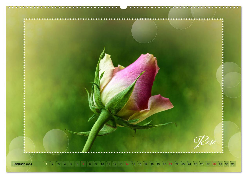 Blütenbouquet (CALVENDO Premium Wandkalender 2024)