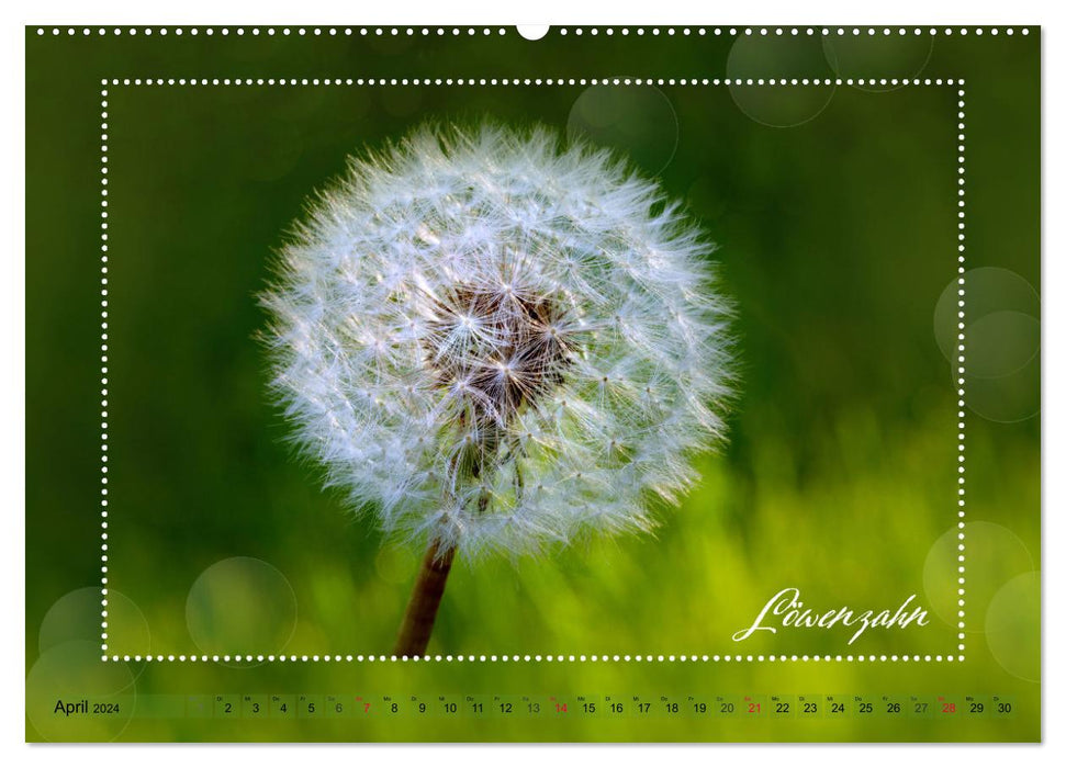 Blütenbouquet (CALVENDO Premium Wandkalender 2024)