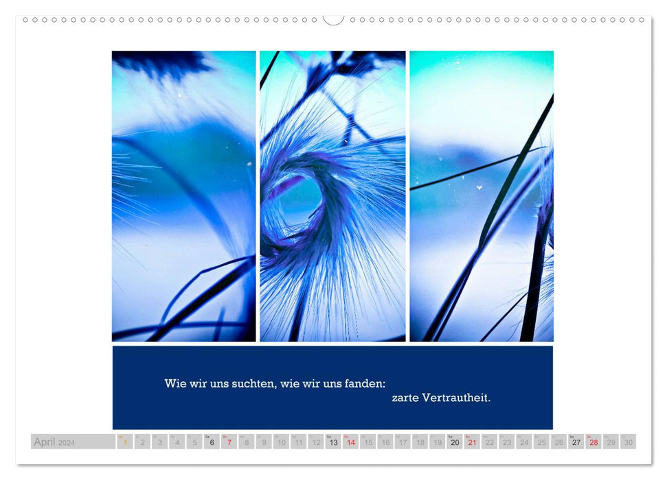 Connections - photographs and texts in harmony (CALVENDO wall calendar 2024) 