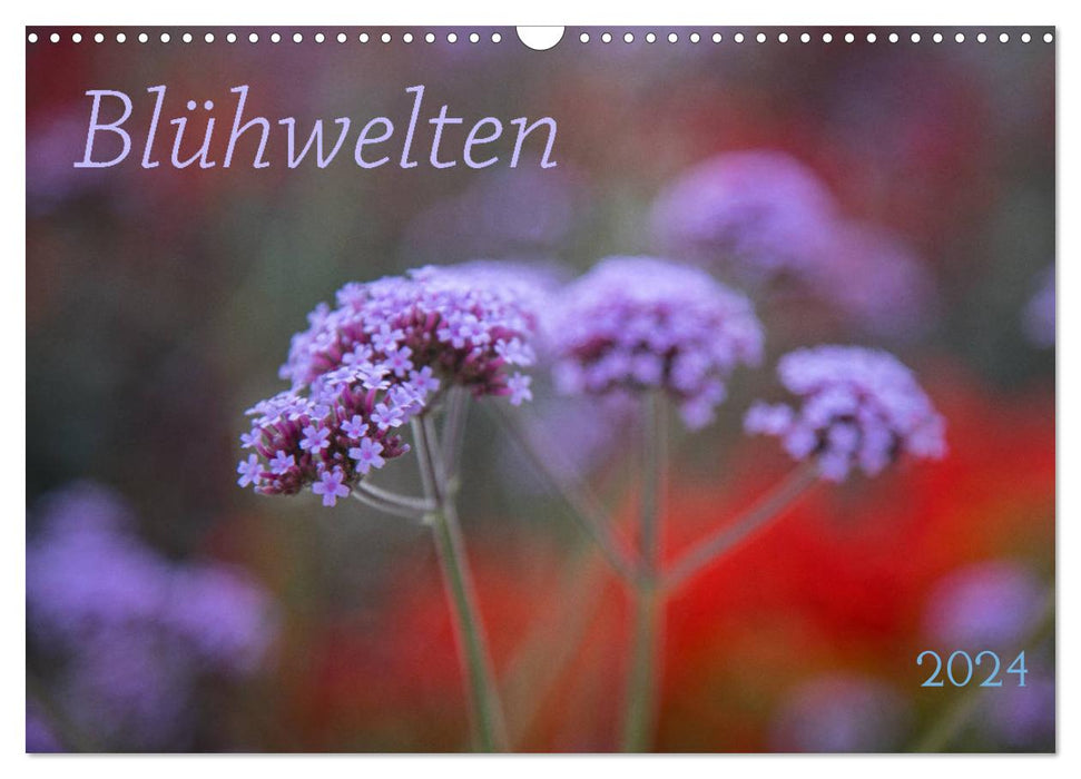 Blühwelten (CALVENDO Wandkalender 2024)
