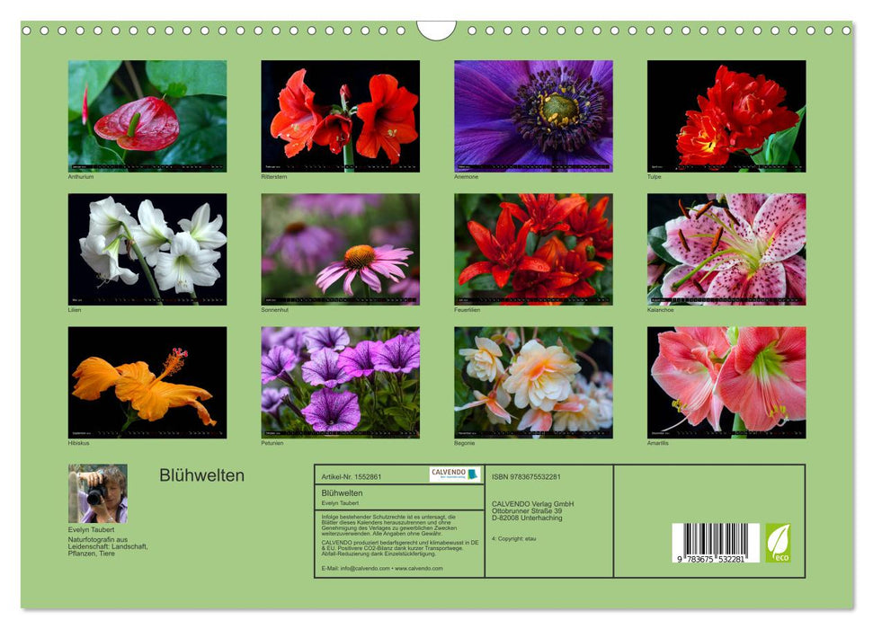 Blühwelten (CALVENDO Wandkalender 2024)