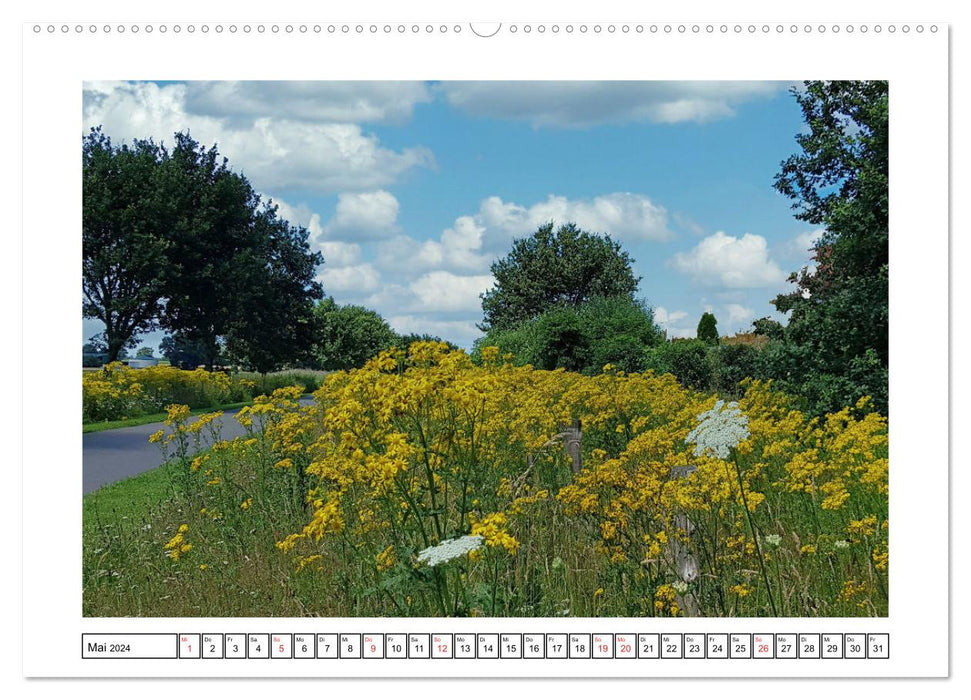 Wildblumenwiese Insektenparadies (CALVENDO Premium Wandkalender 2024)