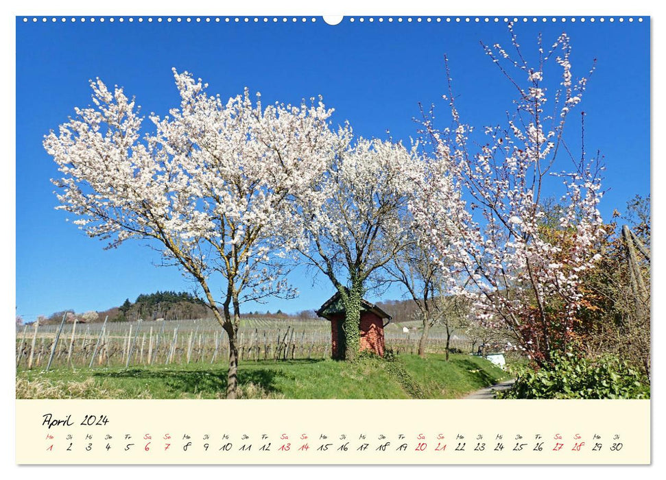 Picturesque Heppenheim on Bergstrasse (CALVENDO Premium Wall Calendar 2024) 