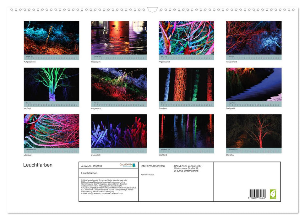 Luminous colors (CALVENDO wall calendar 2024) 