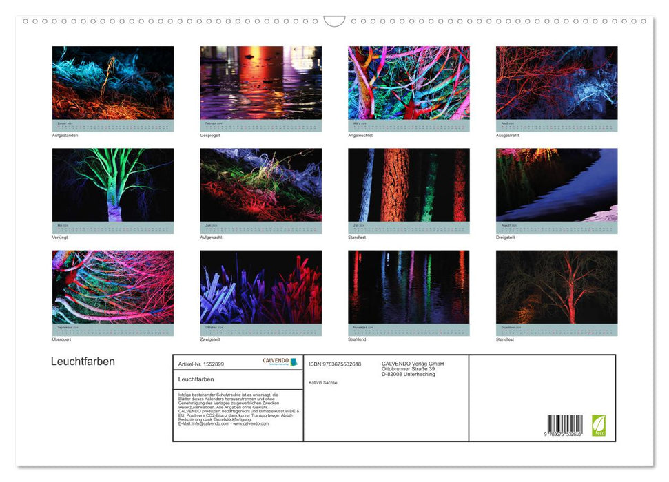 Couleurs lumineuses (Calendrier mural CALVENDO 2024) 