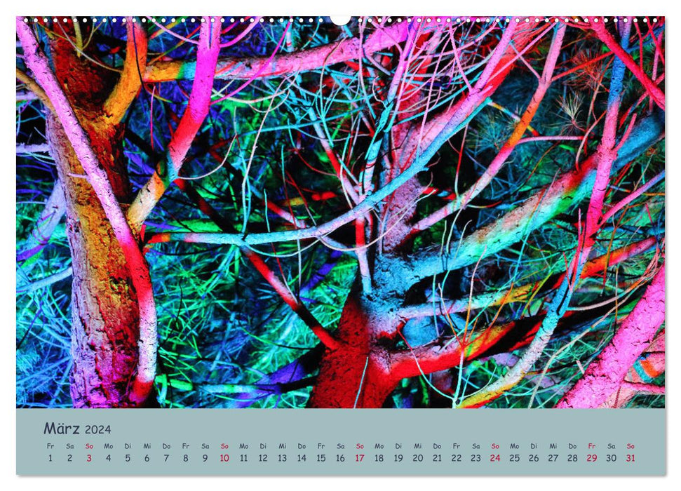 Leuchtfarben (CALVENDO Wandkalender 2024)