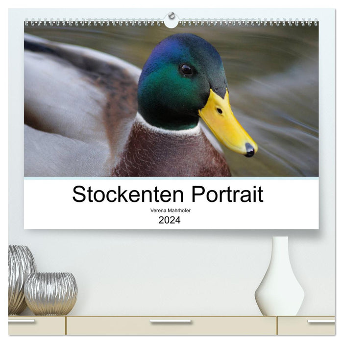 Portrait de canards colverts (Calvendo Premium Calendrier mural 2024) 