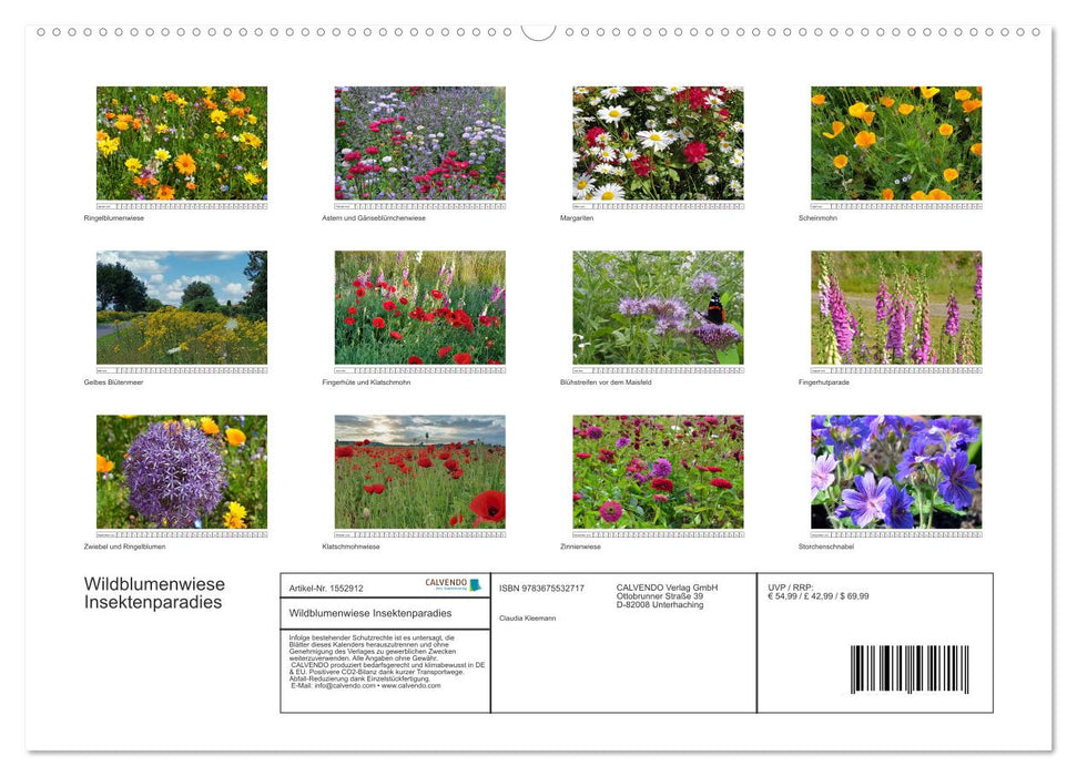 Wildflower meadow insect paradise (CALVENDO wall calendar 2024) 