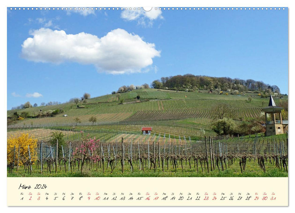 Picturesque Heppenheim on Bergstrasse (CALVENDO wall calendar 2024) 