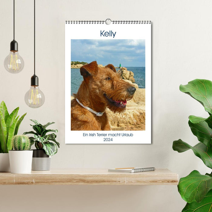 Kelly - An Irish Terrier goes on vacation (CALVENDO wall calendar 2024) 