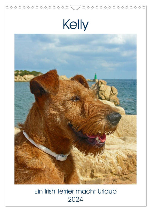 Kelly - An Irish Terrier goes on vacation (CALVENDO wall calendar 2024) 