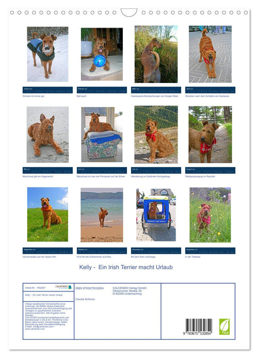 Kelly - Ein Irish Terrier macht Urlaub (CALVENDO Wandkalender 2024)