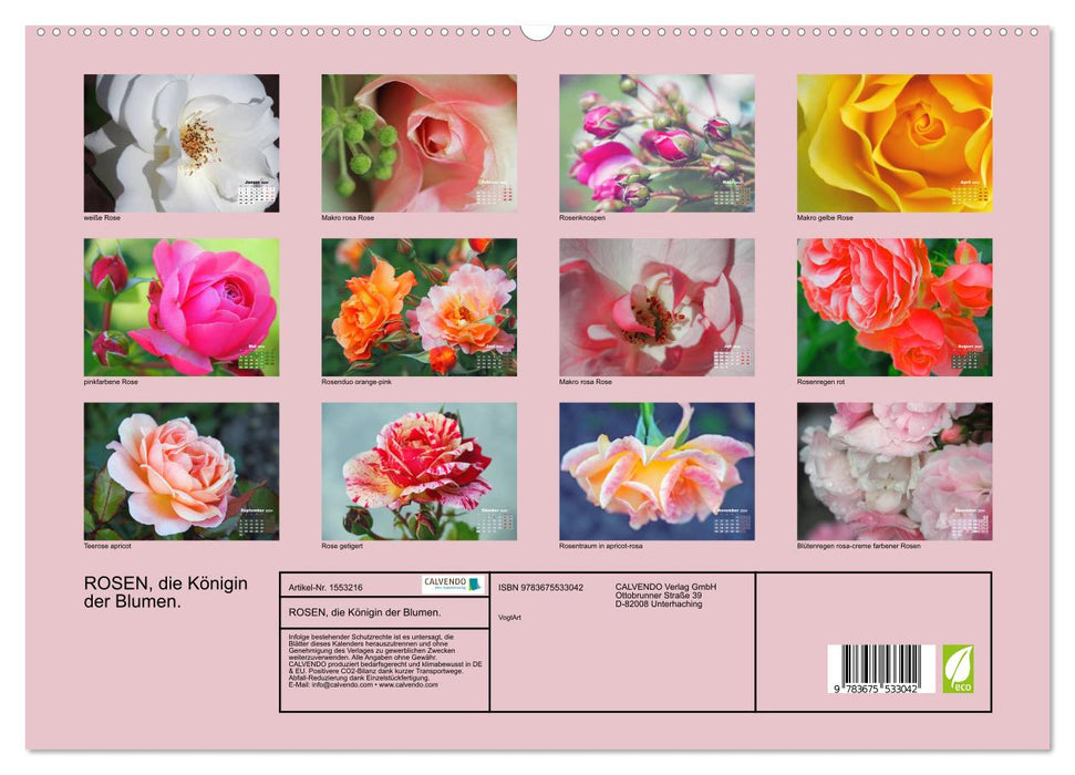 Rosen, die Königin der Blumen (CALVENDO Premium Wandkalender 2024)