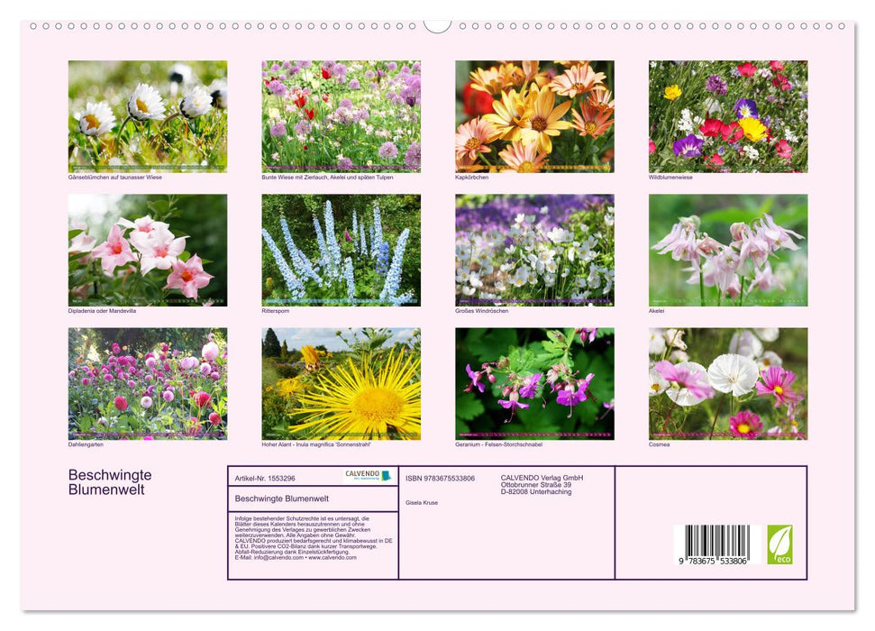 Beschwingte Blumenwelt (CALVENDO Premium Wandkalender 2024)