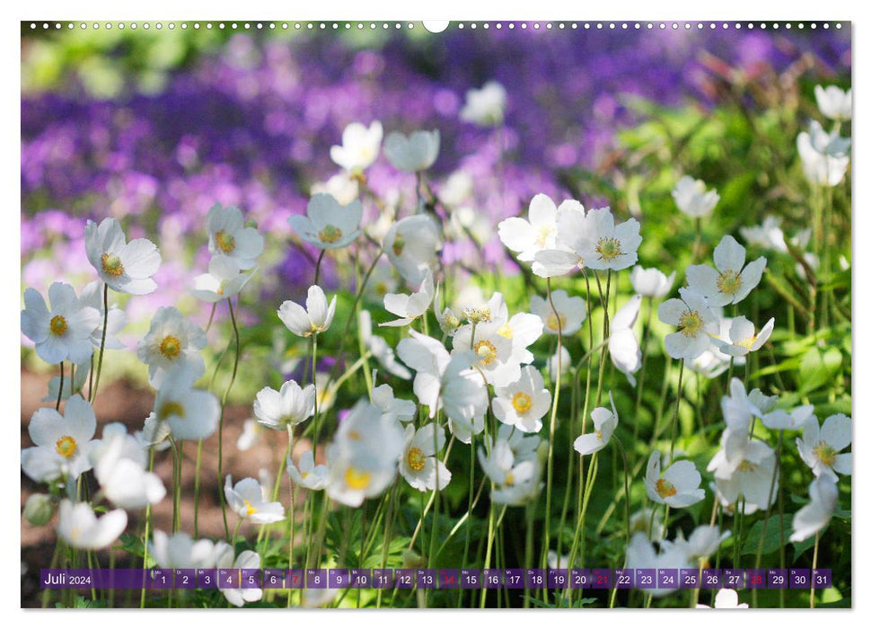 Monde floral vibrant (Calendrier mural CALVENDO Premium 2024) 