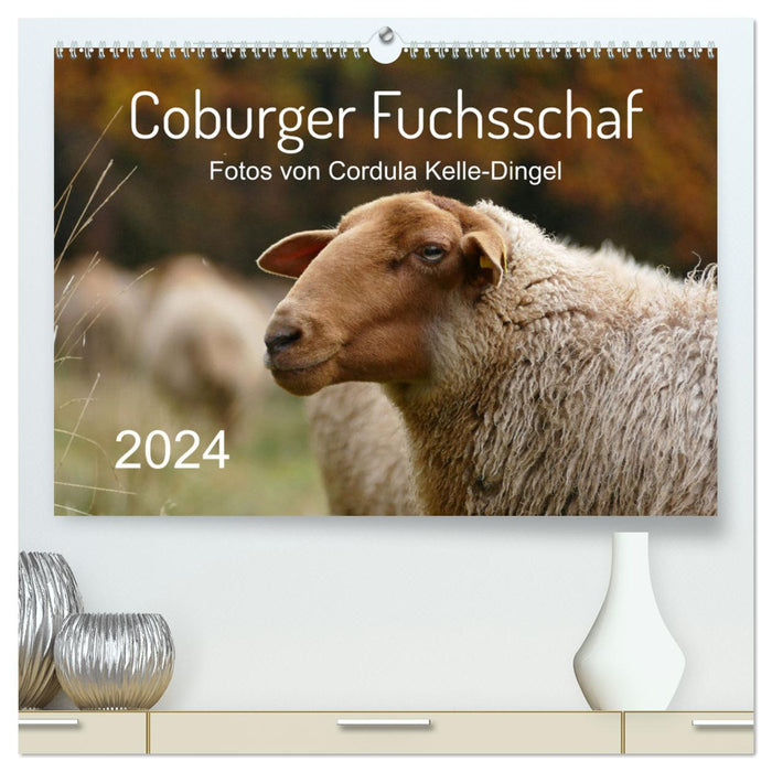 Coburger Fuchsschaf (CALVENDO Premium Wandkalender 2024)