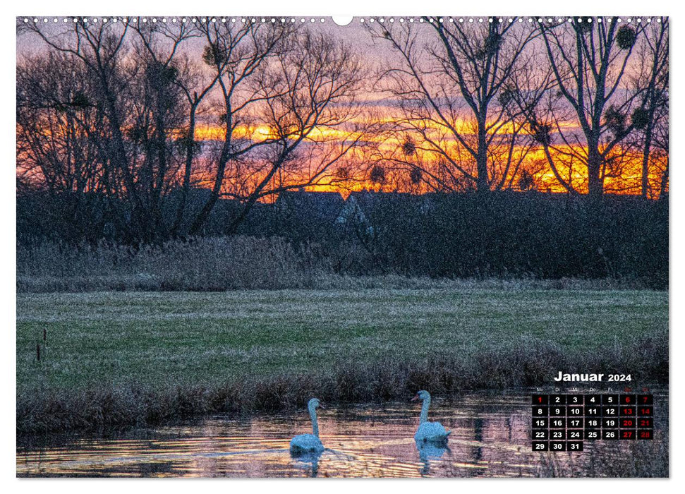 Tierisches Wolfsburg (CALVENDO Premium Wandkalender 2024)