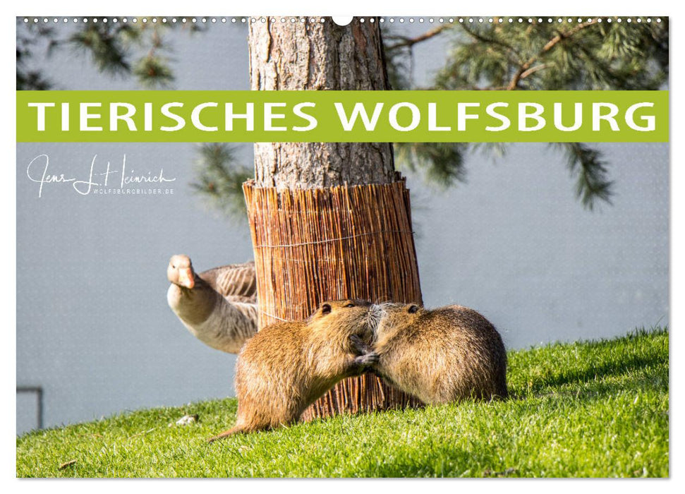 Tierisches Wolfsburg (CALVENDO Wandkalender 2024)