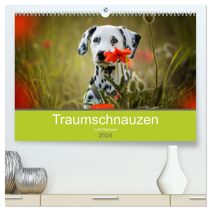 Traumschnauzen (CALVENDO Premium Wandkalender 2024)