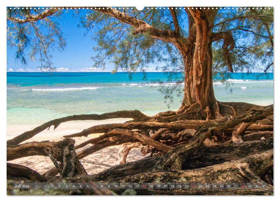 Hawii von Waikiki bis Maui (CALVENDO Premium Wandkalender 2024)