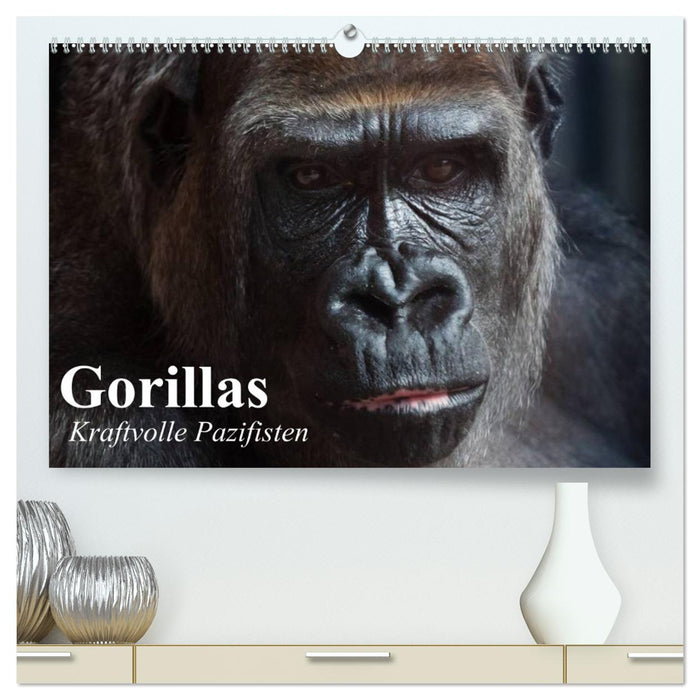 Gorillas. Kraftvolle Pazifisten (CALVENDO Premium Wandkalender 2024)