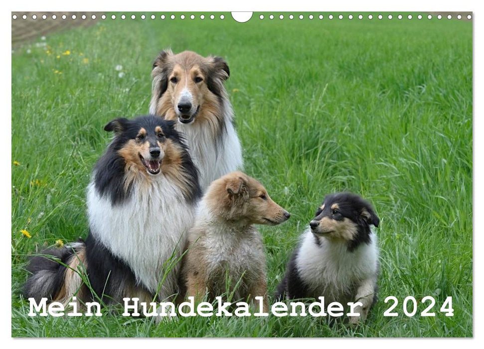 Mein Hundekalender 2024 (CALVENDO Wandkalender 2024)
