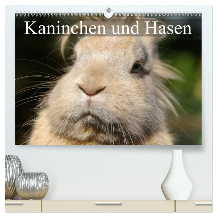 Kaninchen und Hasen (CALVENDO Premium Wandkalender 2024)