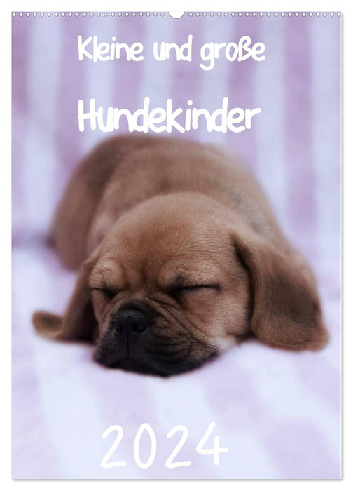 Kleine und große Hundekinder 2024 (CALVENDO Wandkalender 2024)