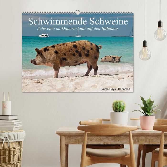 Schwimmende Schweine (CALVENDO Wandkalender 2024)
