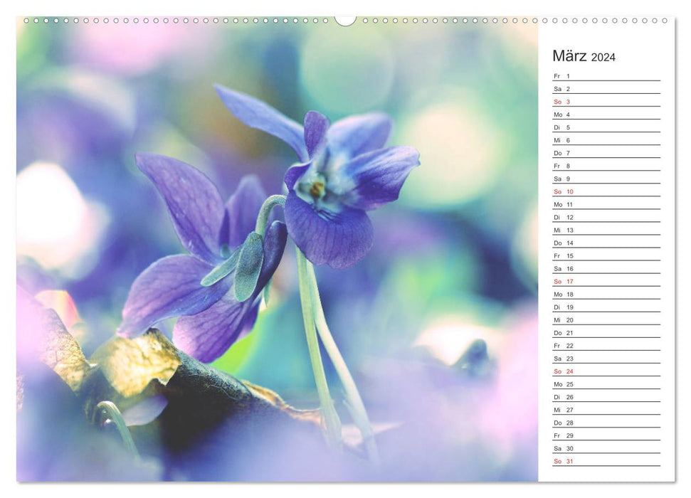 Blumenfreude Terminkalender (CALVENDO Premium Wandkalender 2024)