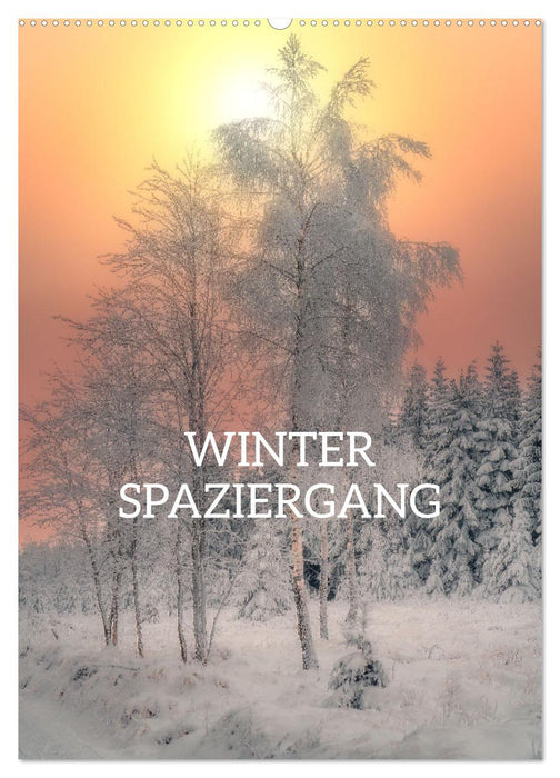 Winter Spaziergang (CALVENDO Wandkalender 2024)