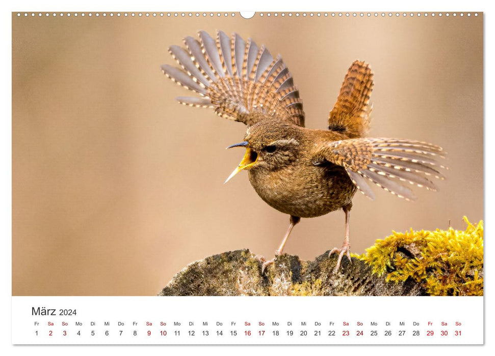 Naturjuwel Haspelmoor (CALVENDO Premium Wandkalender 2024)