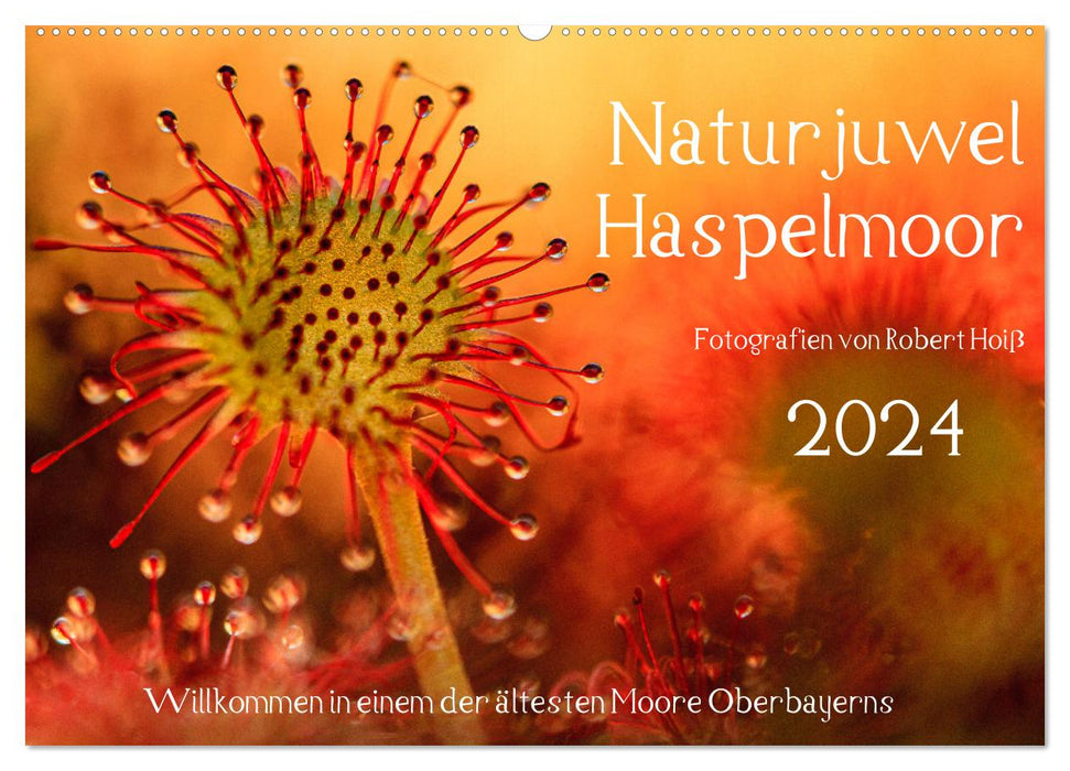 Naturjuwel Haspelmoor (CALVENDO Wandkalender 2024)