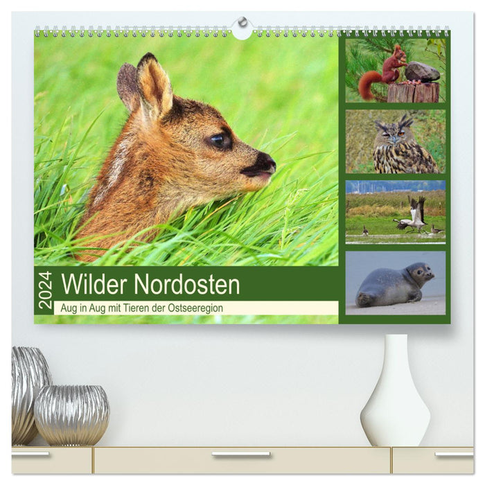 Wilder Nordosten - Aug in Aug mit Tieren der Ostseeregion (CALVENDO Premium Wandkalender 2024)