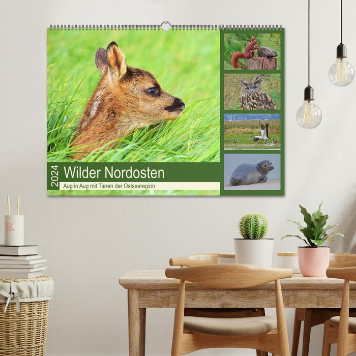 Wilder Nordosten - Aug in Aug mit Tieren der Ostseeregion (CALVENDO Wandkalender 2024)