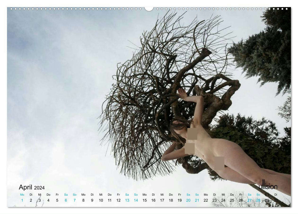 Gartenlust - inszenierte Aktfotografie (CALVENDO Premium Wandkalender 2024)