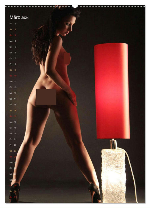 Das Rotlicht (CALVENDO Premium Wandkalender 2024)