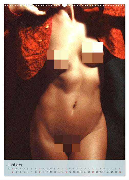 Erotische Frauen. Sexy. Reizend. Verführerisch. (CALVENDO Wandkalender 2024)