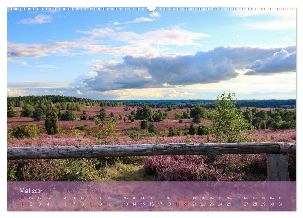 Réserve naturelle des landes de Lunebourg (Calvendo Premium Calendrier mural 2024) 