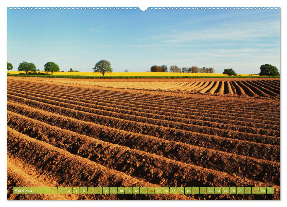 Agriculture Pure Nature Mecklembourg-Poméranie occidentale (Calvendo Premium Wall Calendar 2024) 