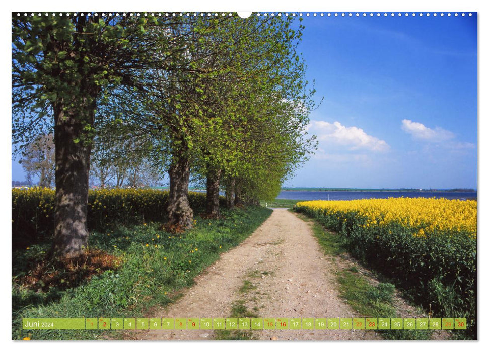 Landwirtschaft Natur pur Mecklenburg-Vorpommern (CALVENDO Premium Wandkalender 2024)