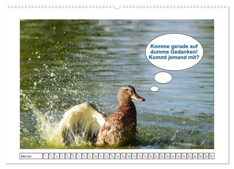 Tierisch - Süßes, Witziges. (CALVENDO Premium Wandkalender 2024)