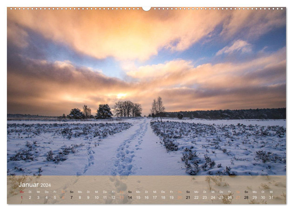 Naturschutzgebiet Lüneburger Heide (CALVENDO Wandkalender 2024)